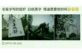 茄子河如何避免债务纠纷？专业追讨公司教您应对之策